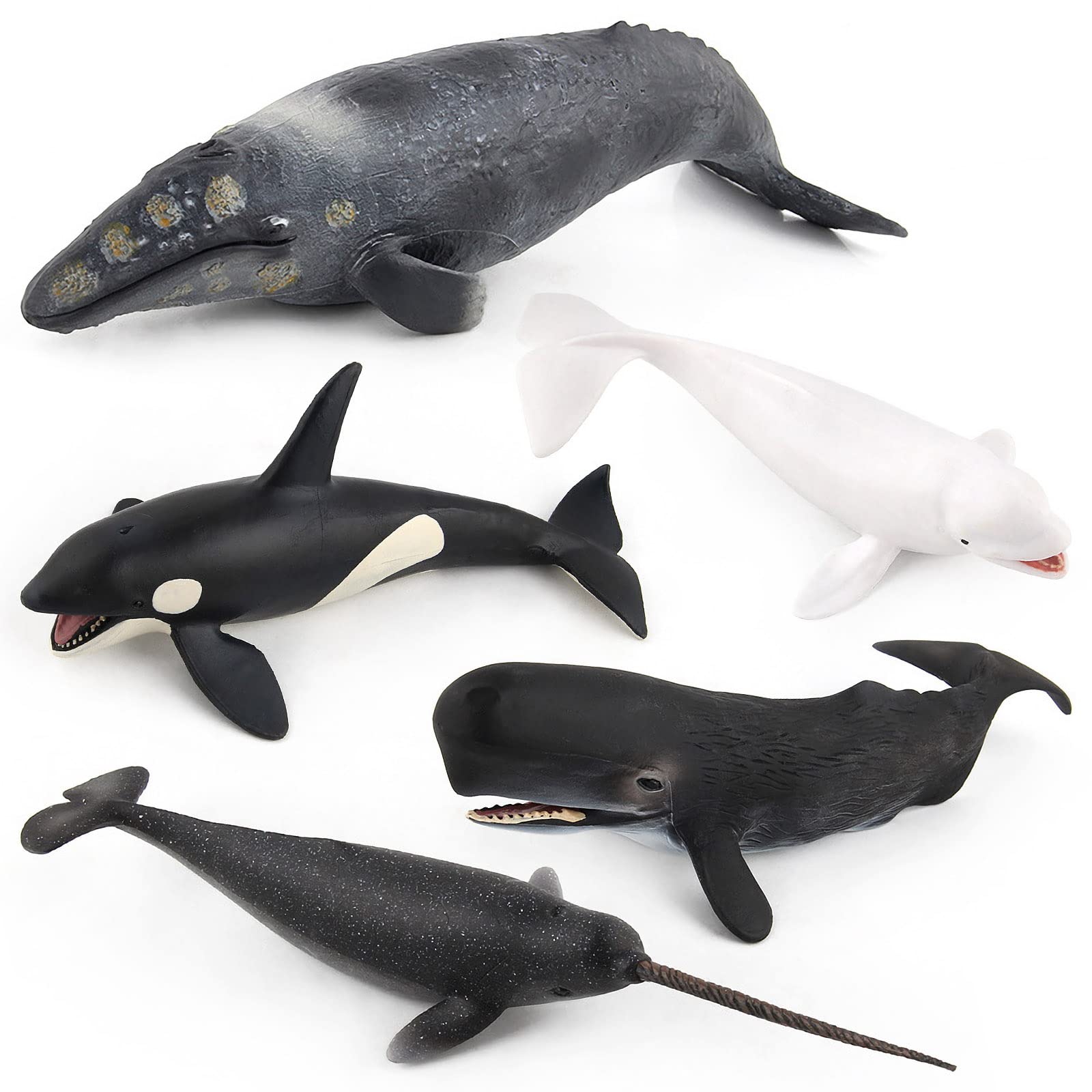 TOY QUBE ボクシングフィギュア グレー/ブラック 約15cm Amazon.com: BRETOYIN Jumbo Sperm Whale Toy Figure Set 5PCS Sea